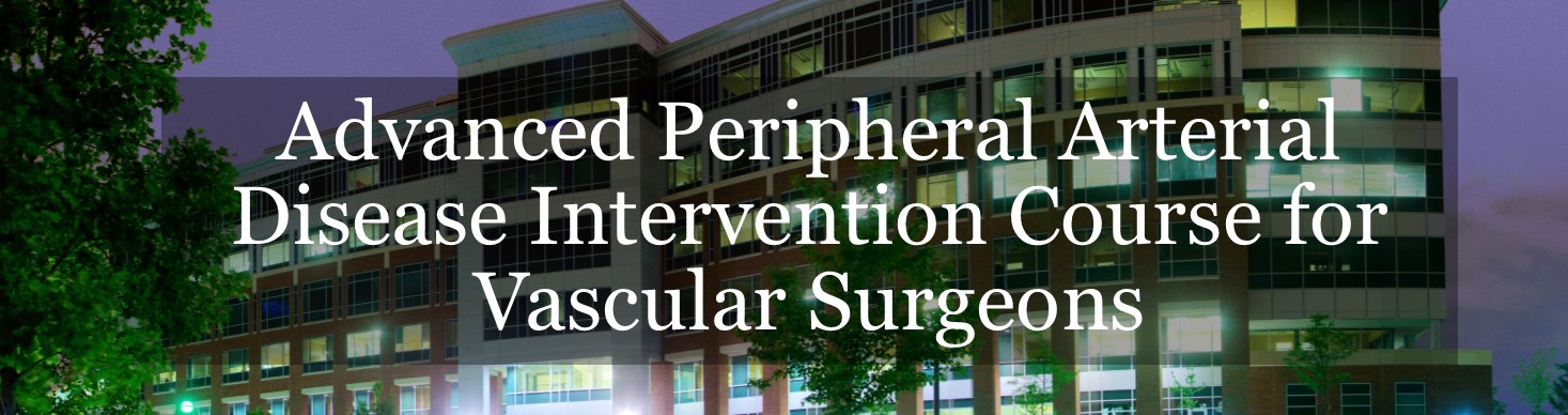 Advanced Peripheral Arterial Disease Intervention Course for Vascular Surgeons Banner